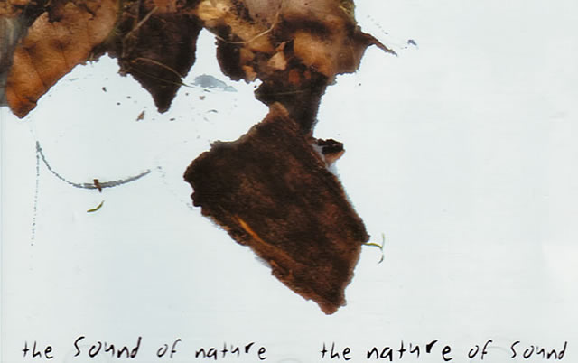 V/A – The Sound Of Nature ~ The Nature Of Sound